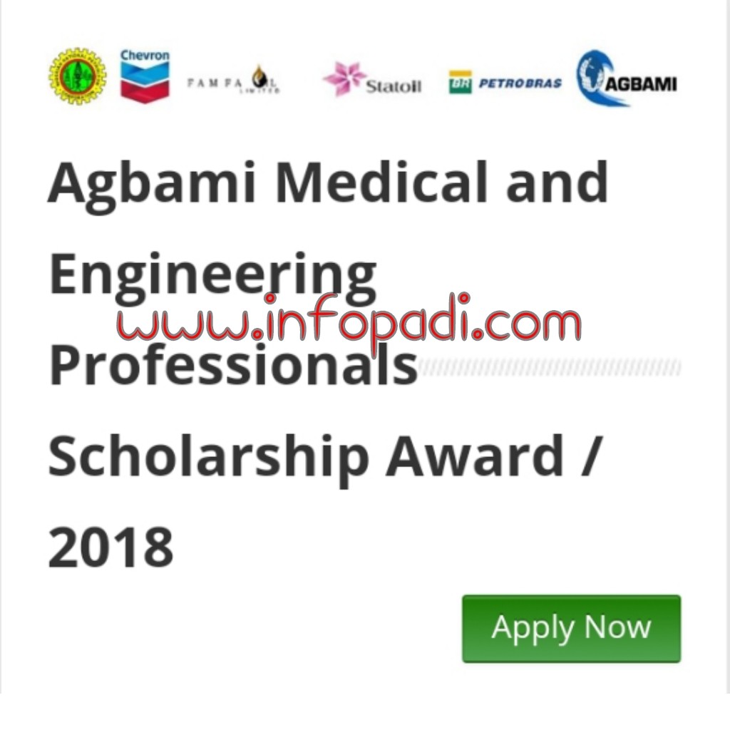 Agbami Scholarship Application