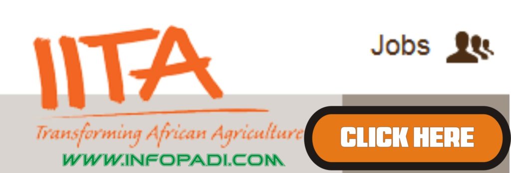 IITA recruitment