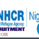 unhcr career