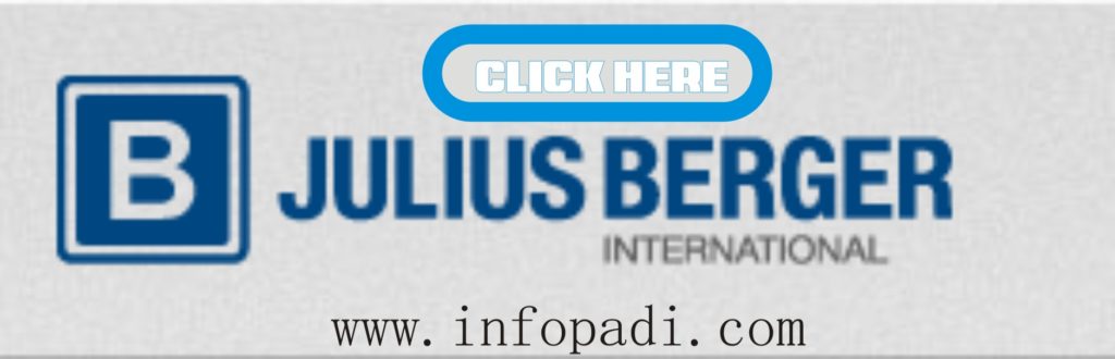 Julius Berger Internship