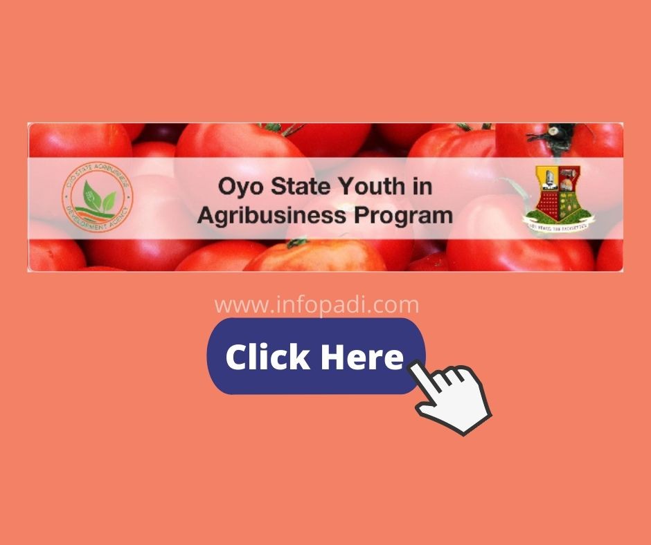 Oyo State Youth in Agribusiness