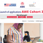 Academy for Women Entrepreneurs (AWE)