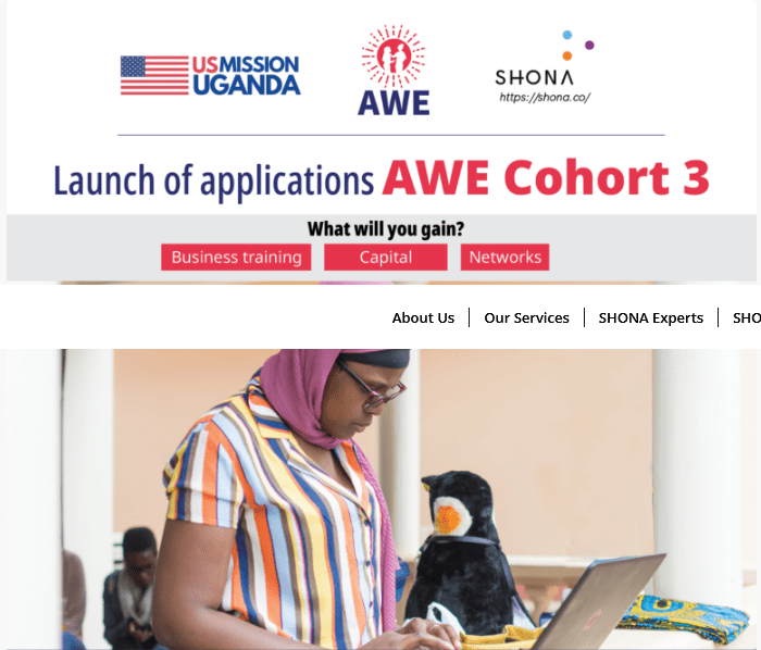 Academy for Women Entrepreneurs (AWE)