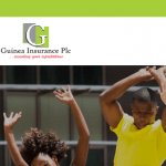 guinea insurance