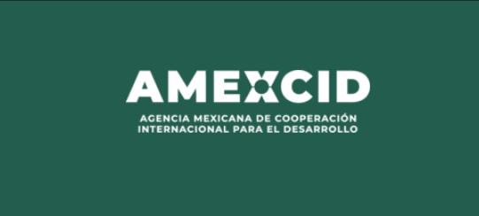 mexican govt scholarship