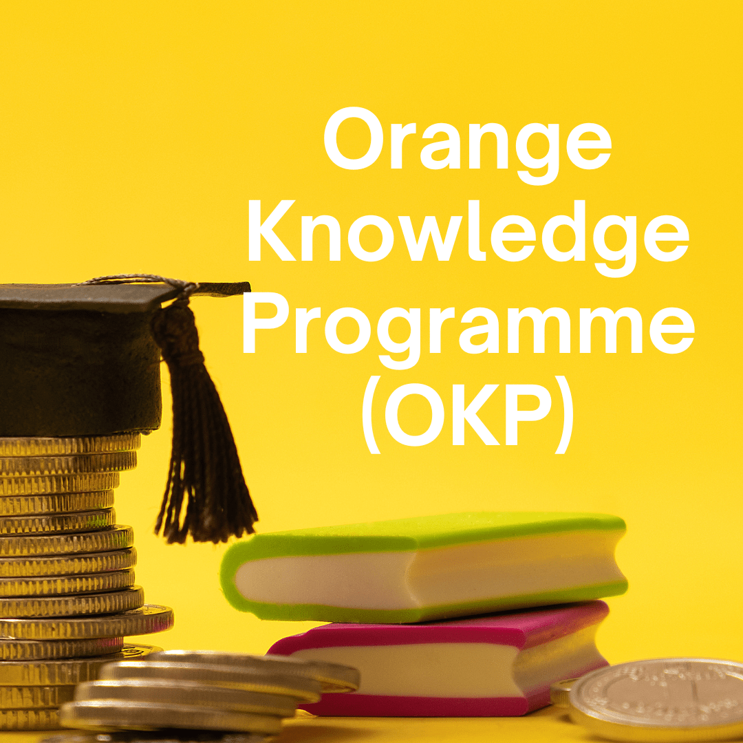Orange Knowledge Programme (OKP) Scholarship 2023/2024
