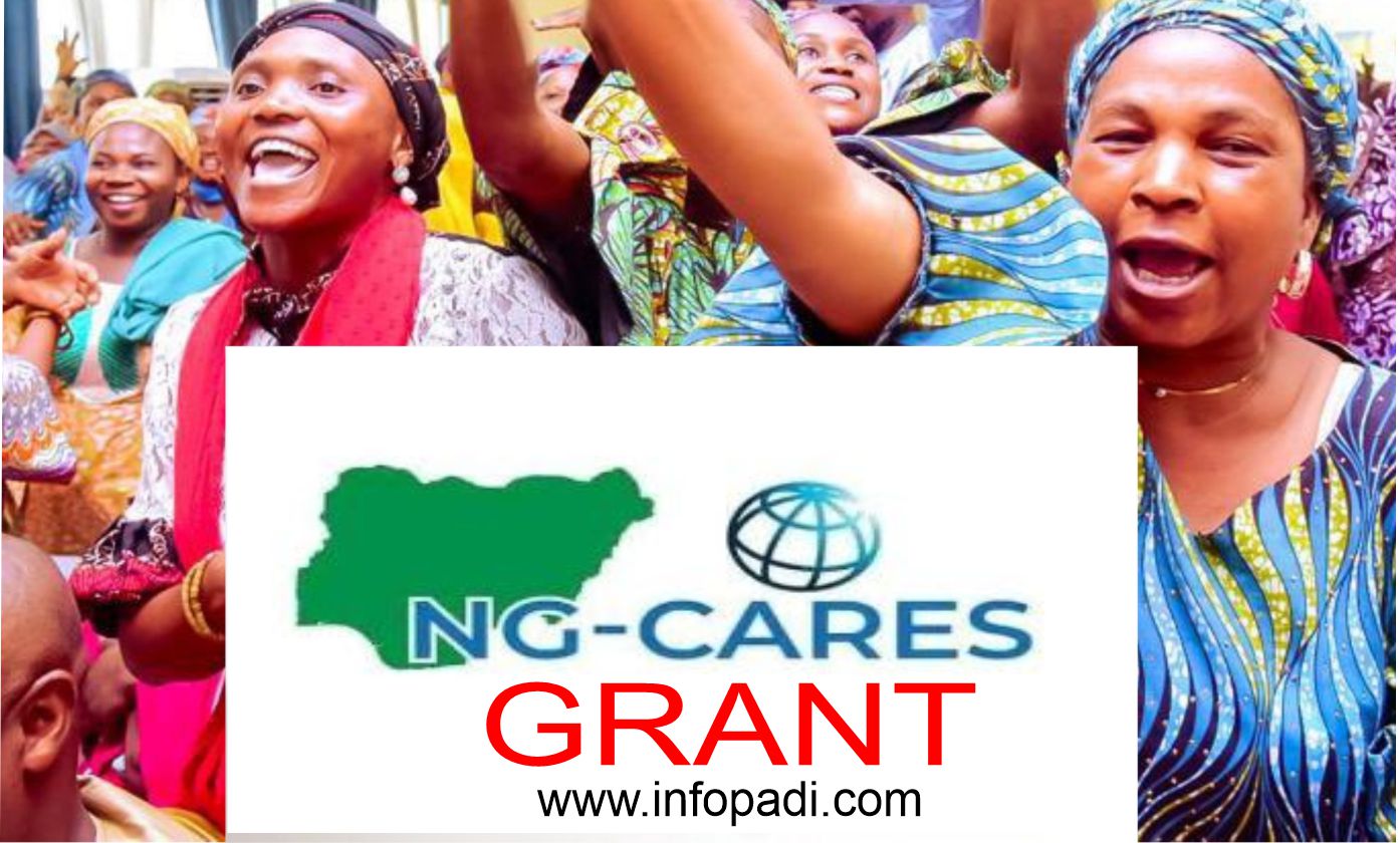 How to Apply for NGCares Business Fund 2024 Across 36 States in Nigeria