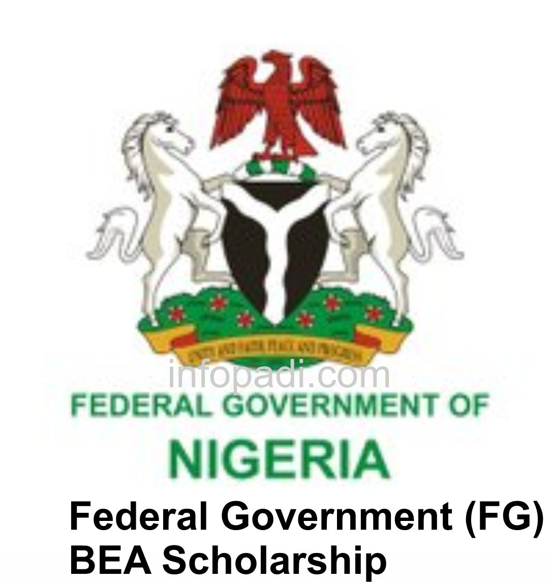 Fg Form Federal Government (FG) BEA Scholarship Application Form 2025/2026