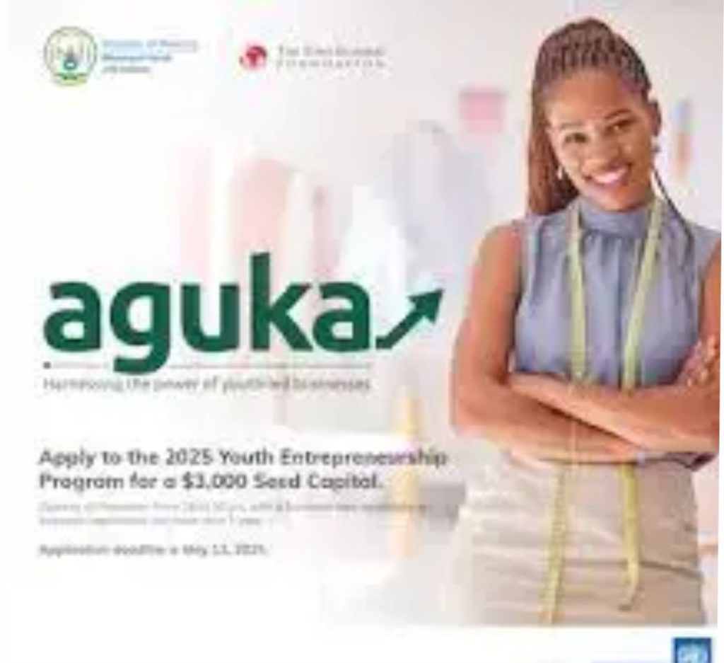 Tony Elumelu Foundation Aguka Ideation Entrepreneurship Programme 2025