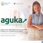 Tony Elumelu Foundation Aguka Ideation Entrepreneurship Programme 2025