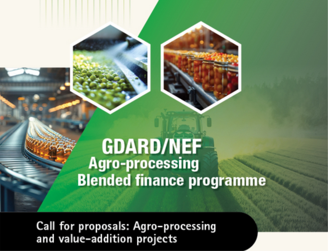 National Empowerment Fund (NEF)